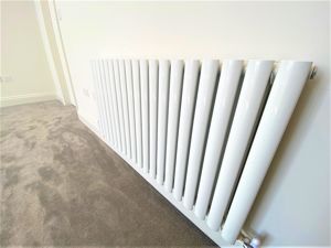 Photo 41- click for photo gallery